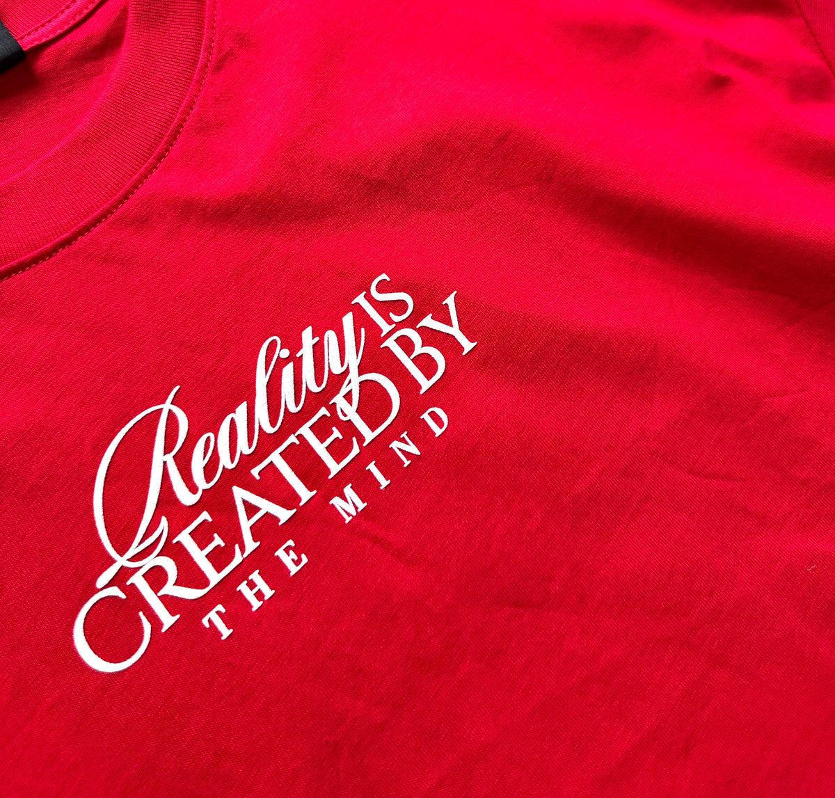 CAMISETA OVERSIZE RED REALITY