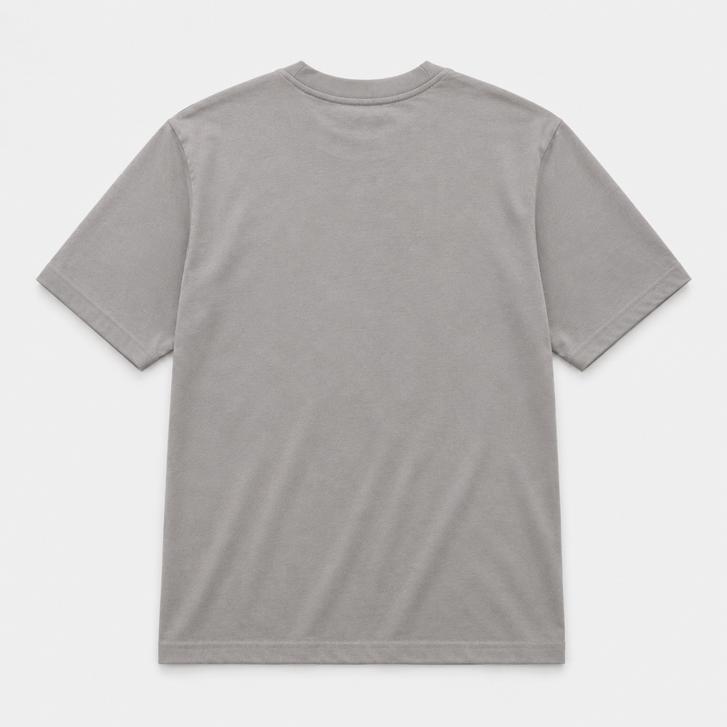 CAMISETA TNF GRIS