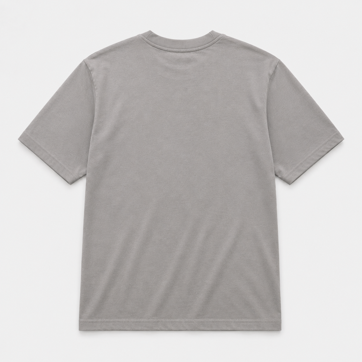 CAMISETA TNF GRIS