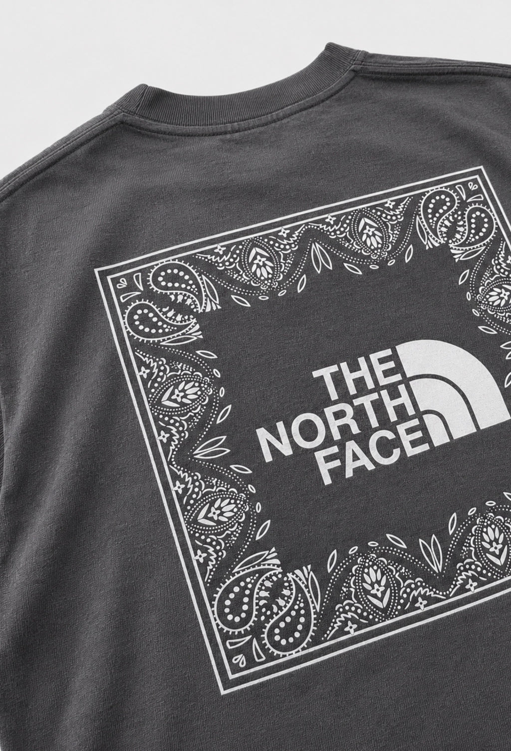CAMISETA TNF GRIS