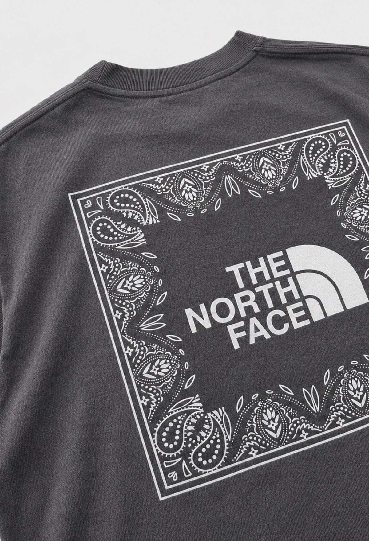 CAMISETA TNF GRIS
