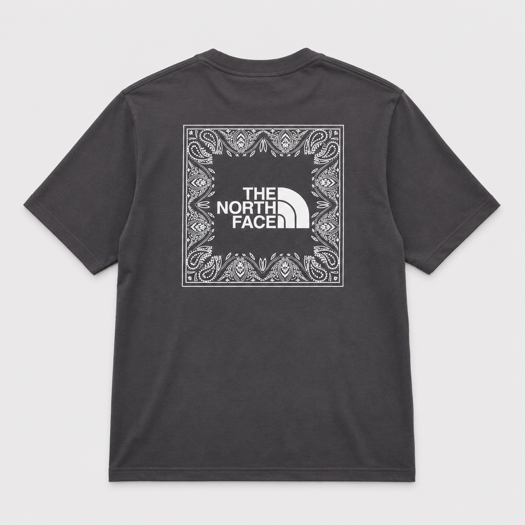 CAMISETA TNF GRIS