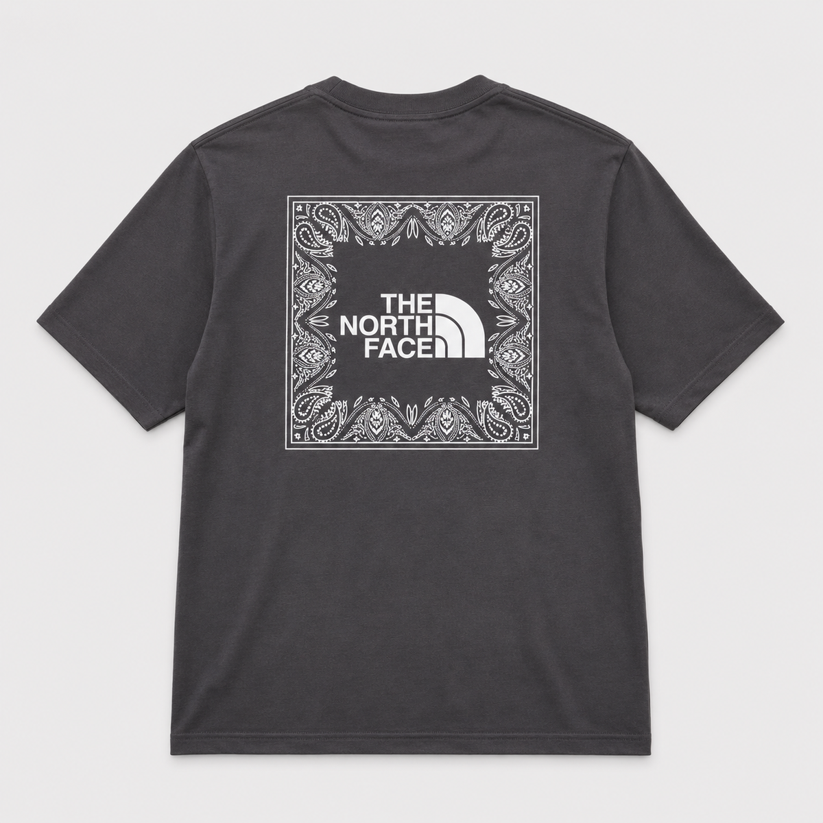 CAMISETA TNF GRIS