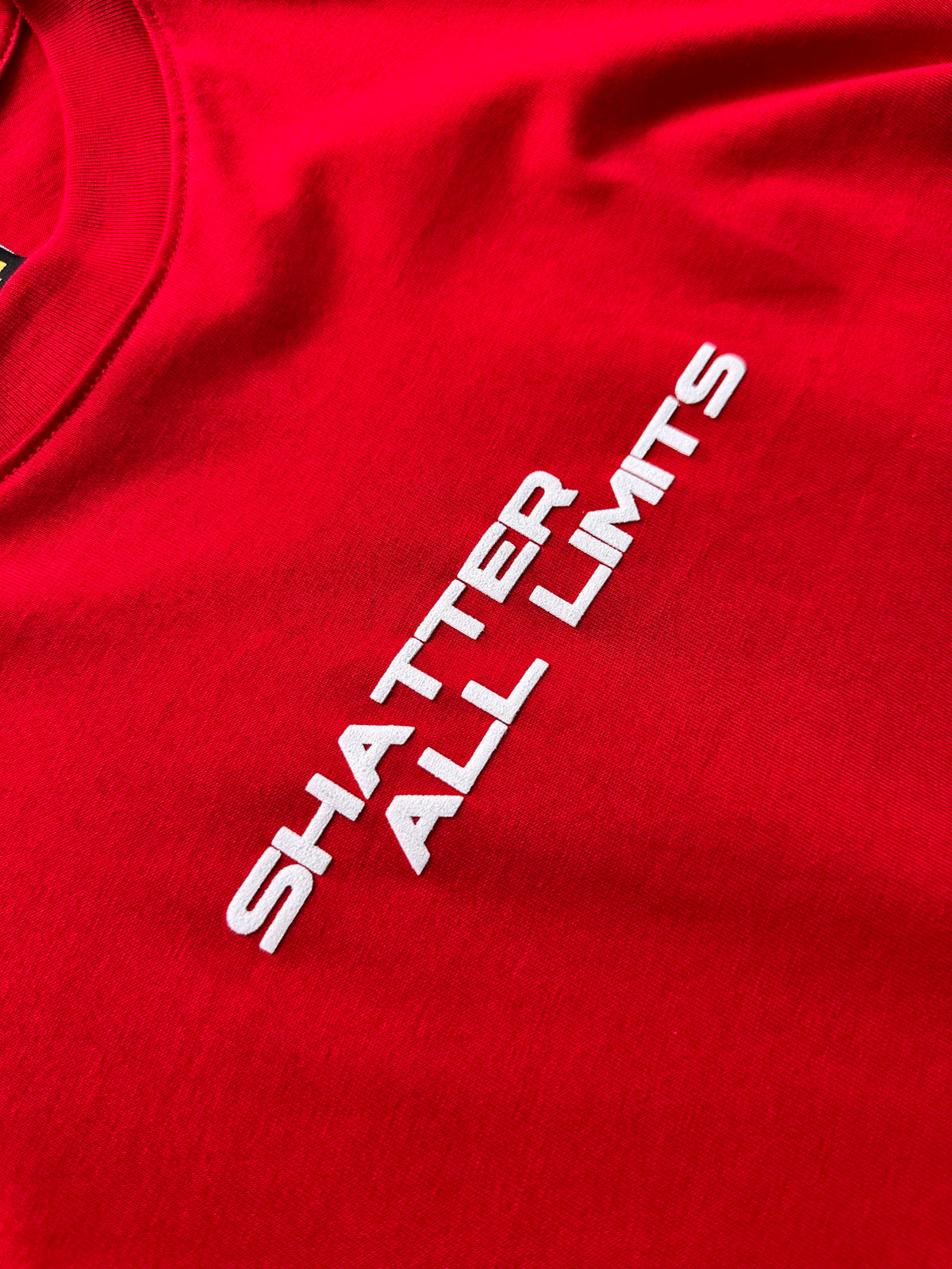 CAMISETA OVERSIZE RED CIRCLE