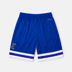 NBA NIKE AZUL REY