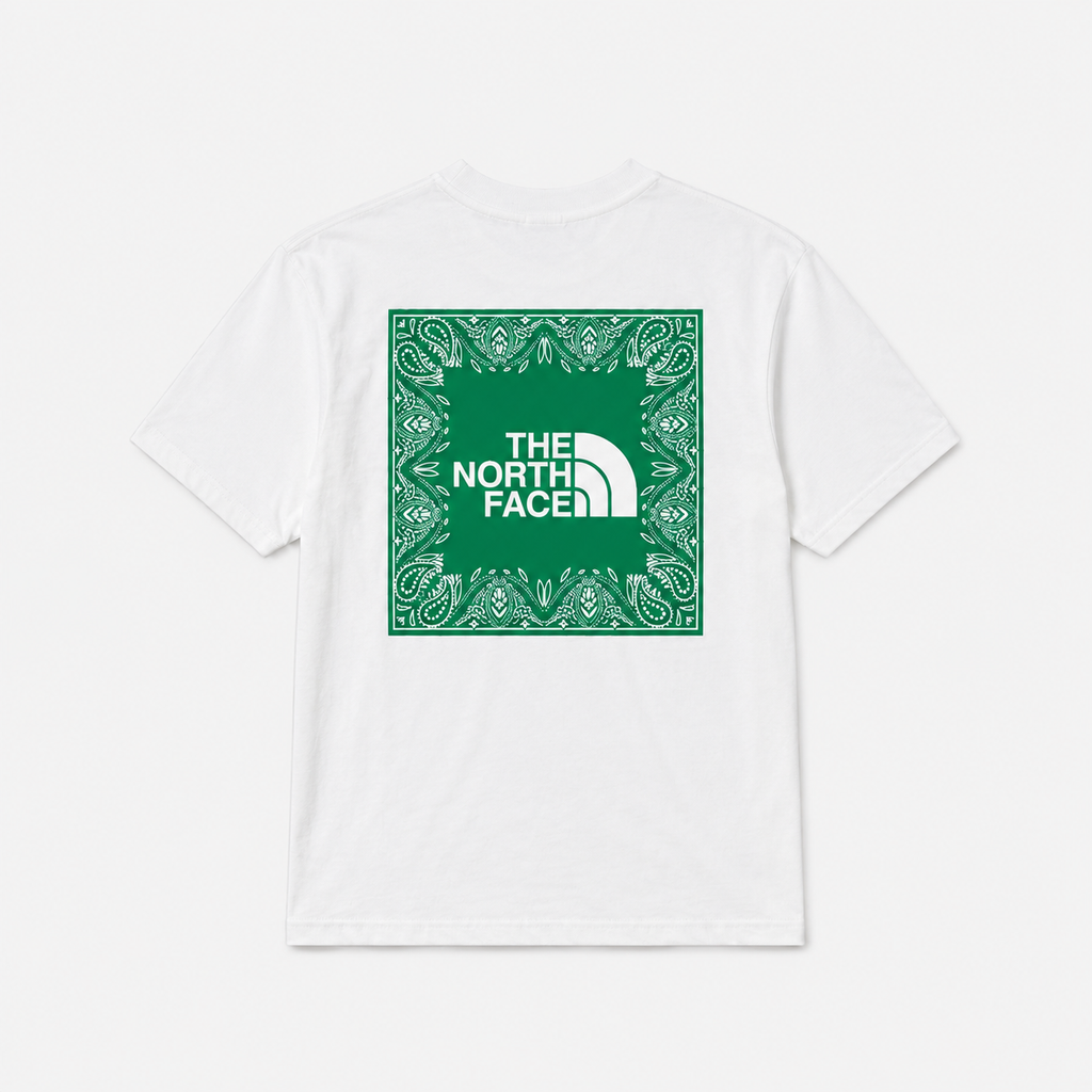 CAMISETA REGULAR TNF