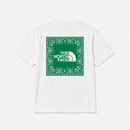 CAMISETA REGULAR TNF